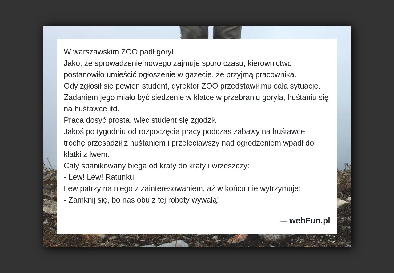 Dowcip: 50968. W warszawskim ZOO padł goryl. Jako, że sprowadzenie nowego zajmuje sporo czasu, kierownictwo postanowiło umieścić ogłoszenie w gazecie, że przyjmą pracownika. Gdy...Read More... 