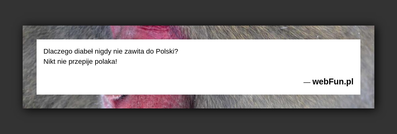 Dowcip: 5719. Dlaczego diabeł nigdy nie zawita do Polski? Nikt nie przepije polaka!...Read More... 