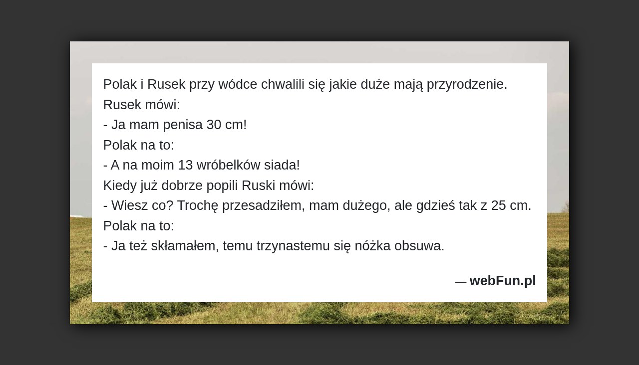 Dowcip: 48598. Polak i Rusek przy wódce chwalili się jakie duże mają przyrodzenie. Rusek mówi: – Ja mam penisa 30 cm! Polak na to:...Read More... 